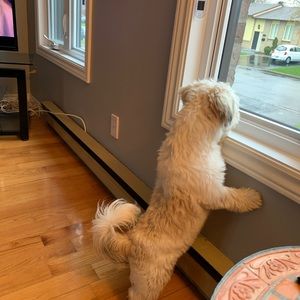 Meet your Posher, Annalene